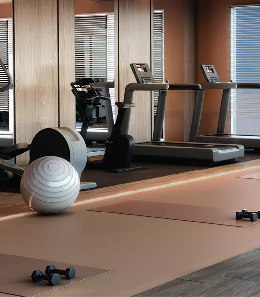 DRA Richburg gym (artist's impression)